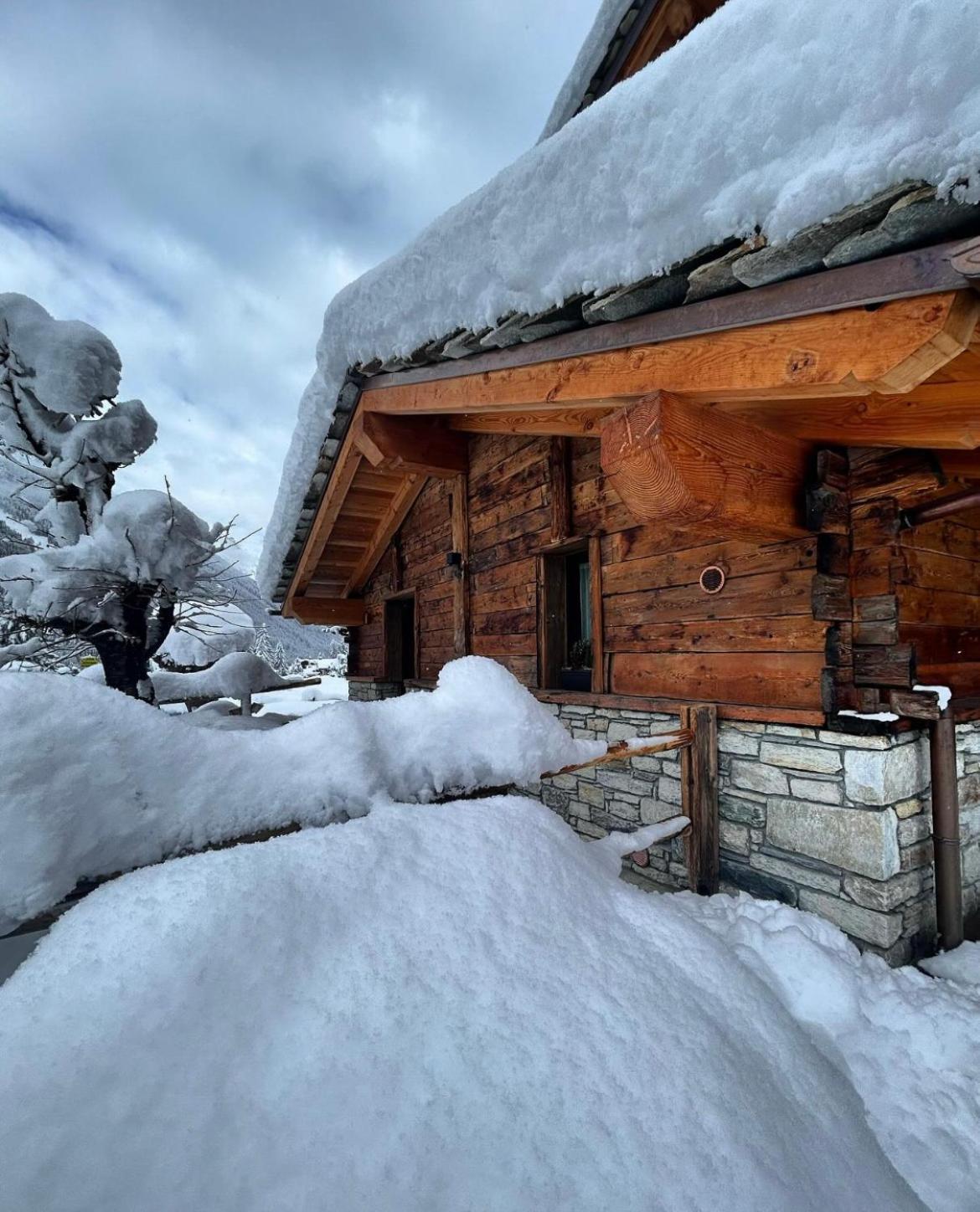 Hibou Chambres - Cogne Exterior photo