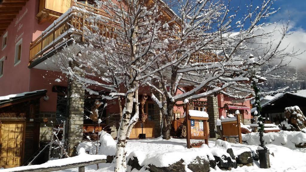 Hibou Chambres - Cogne Exterior photo