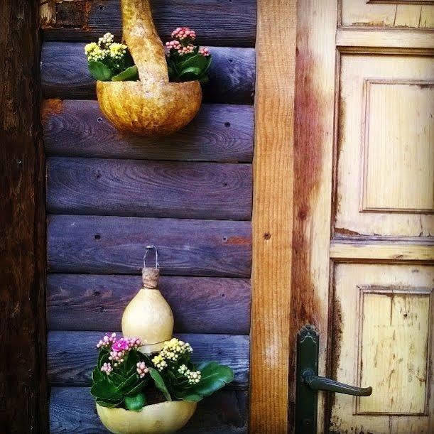 Hibou Chambres - Cogne Exterior photo